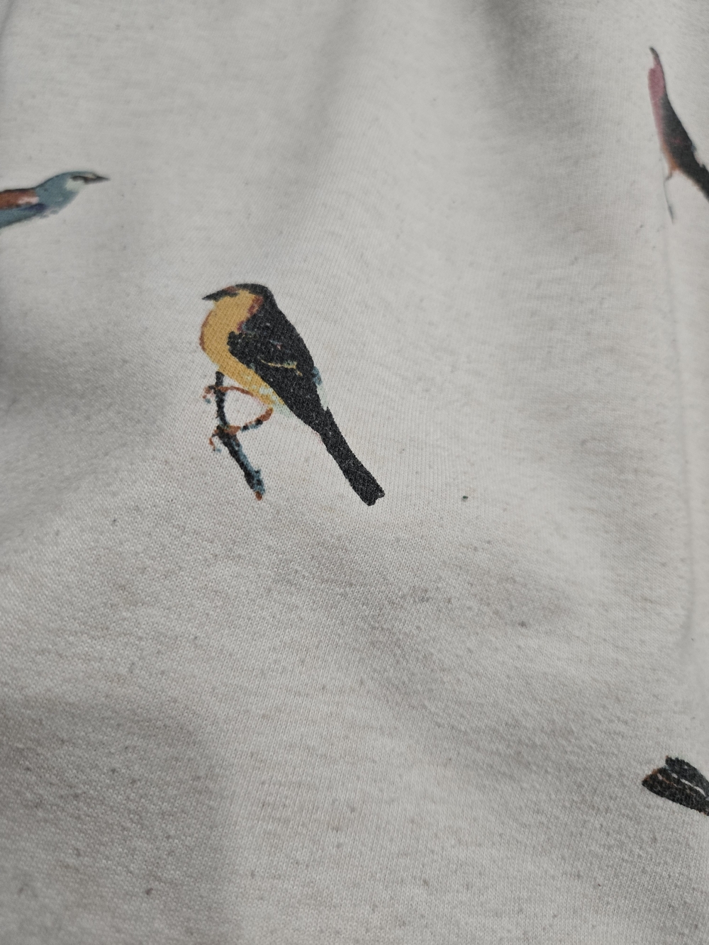 Twik Beige Crewneck Sweatshirt with Colorful Bird Print Organic Cotton - Picture 5 of 7
